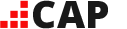 Logo Conseiller au président